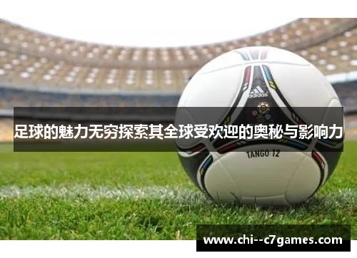 足球的魅力无穷探索其全球受欢迎的奥秘与影响力 足球的魅力无穷探索其全球受欢迎的奥秘与影响力