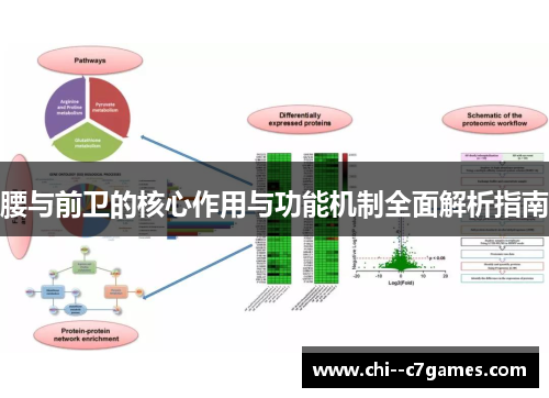 腰与前卫的核心作用与功能机制全面解析指南 腰与前卫的核心作用与功能机制全面解析指南
