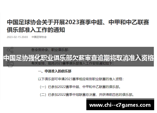 中国足协强化职业俱乐部欠薪审查逾期将取消准入资格