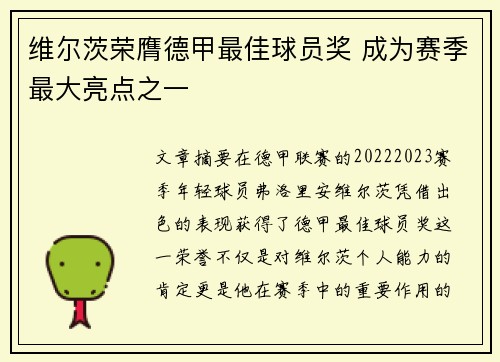 维尔茨荣膺德甲最佳球员奖 成为赛季最大亮点之一